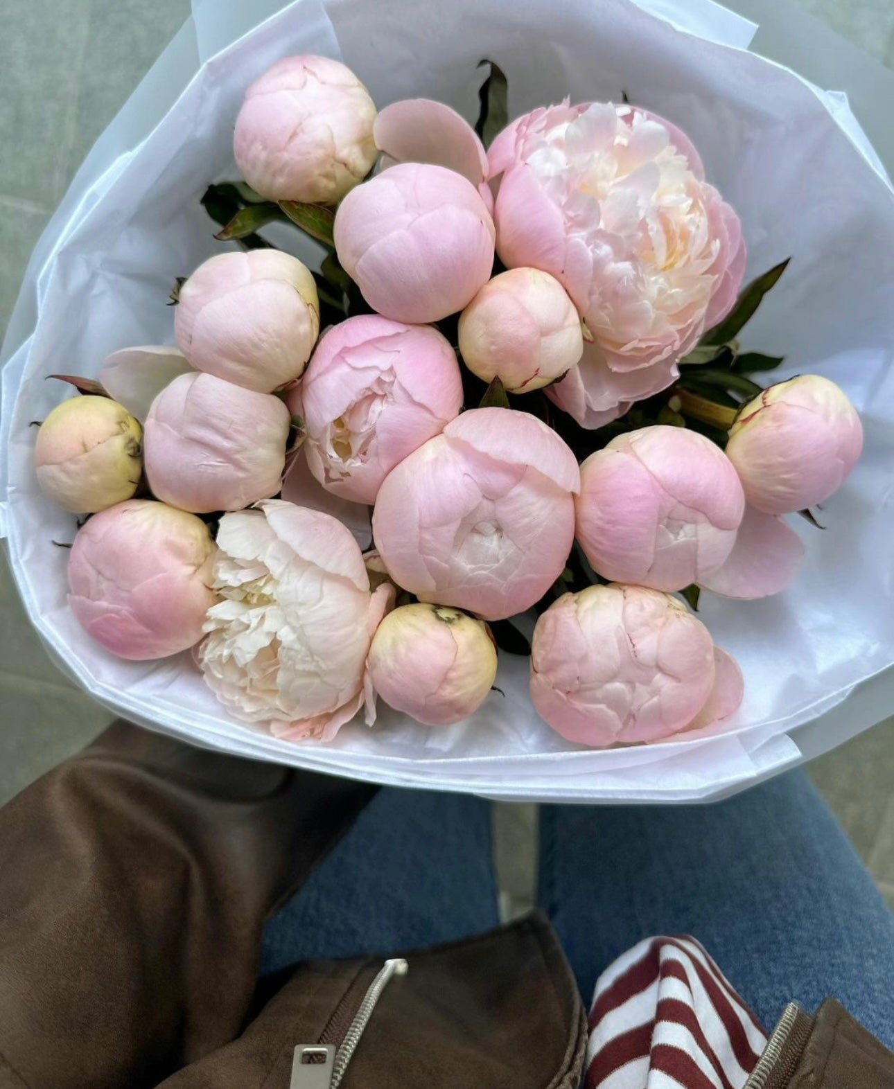 Peonies