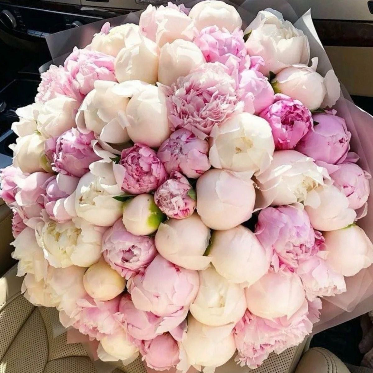 Peonies