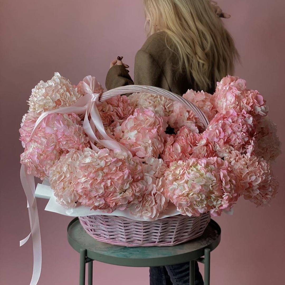 Hydrangeas