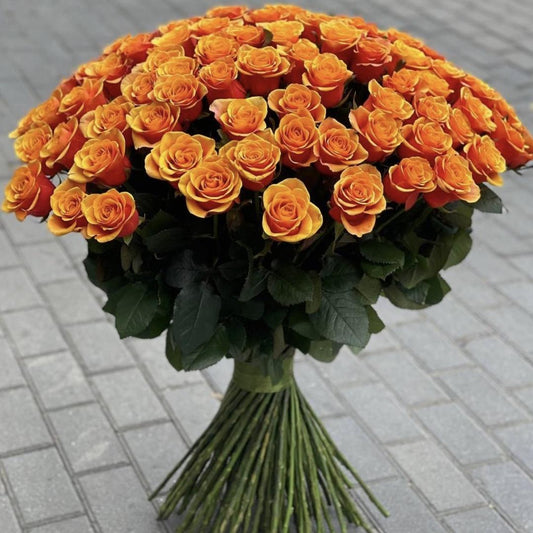 Tangerine Dreams